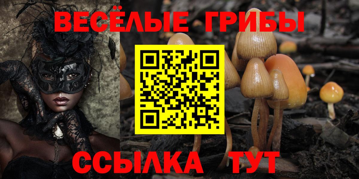 Псилоцибиновые грибы Psilocybe Пенза