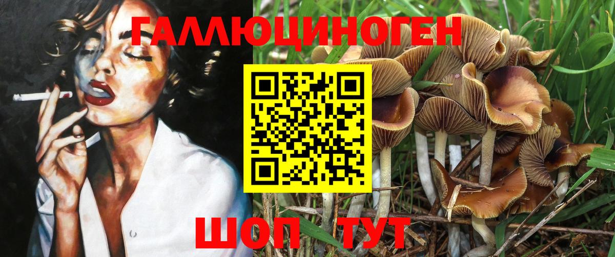 Галлюциногенные грибы Psilocybe  Вход с VPN  Пенза 
